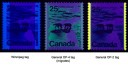 Tagging varieties on stamps