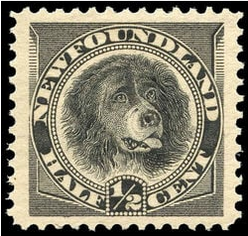 Newfoundland stamps