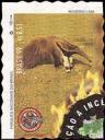 7-brazil-burnt-wood-scented-stamp.jpg