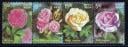 8-india-rose-scented-stamps.jpg